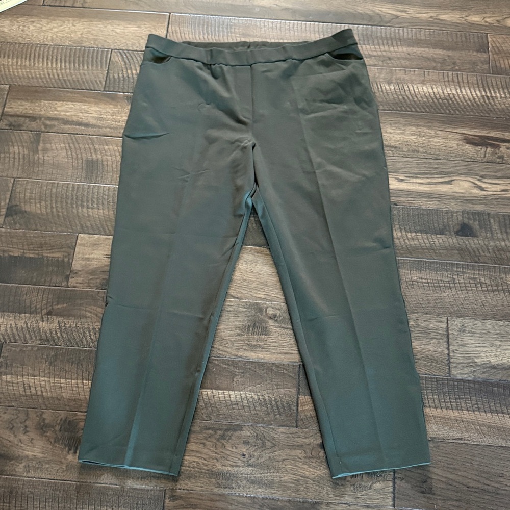 Susan Graver weekend forest green knit pants! 2X NWOT